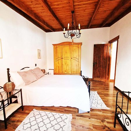 Cozy House Casa Vero Mai Icod De Los Vinos Eksteriør bilde