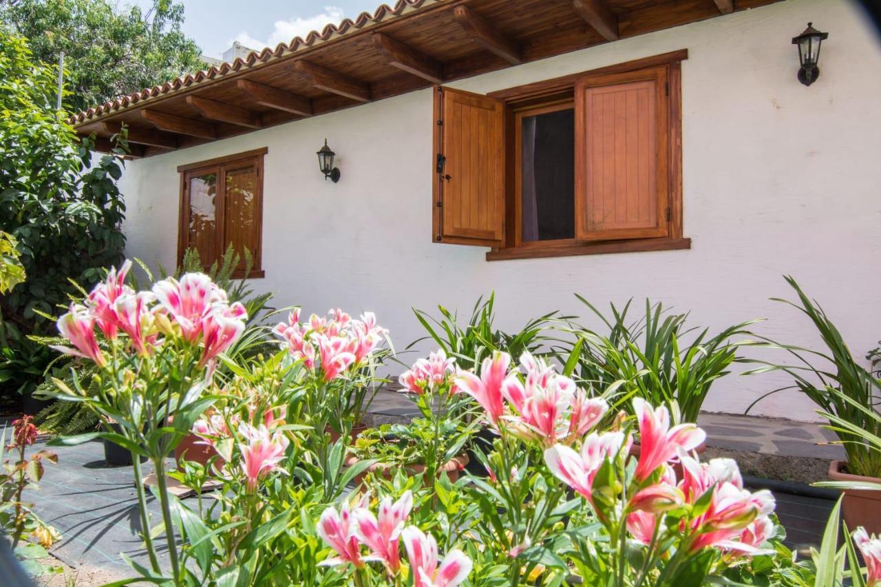 Cozy House Casa Vero Mai Icod De Los Vinos Eksteriør bilde